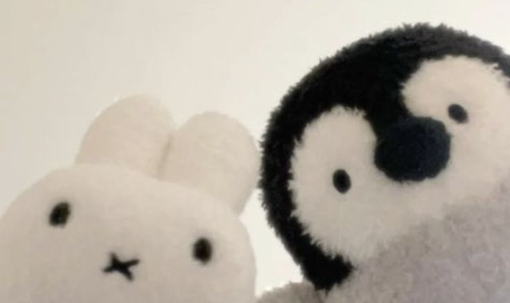 Пользователь